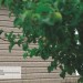Сайдинг Ю-Пласт TIMBERBLOCK Пихта (Тимберблок) Cахалинская купить в Южно-Сахалинске