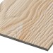 Фиброцементные панели FCSPRO Decor Wood Лиственница купить в Южно-Сахалинске
